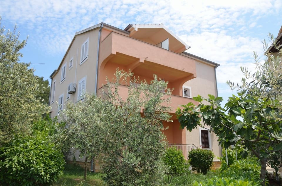Property building, Day