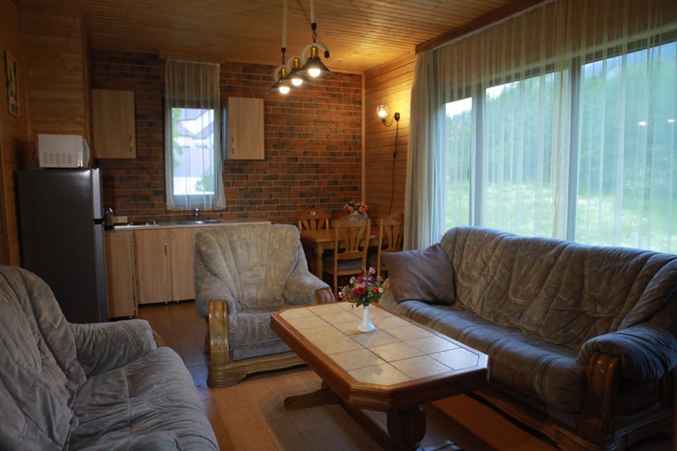 Living room, kitchen