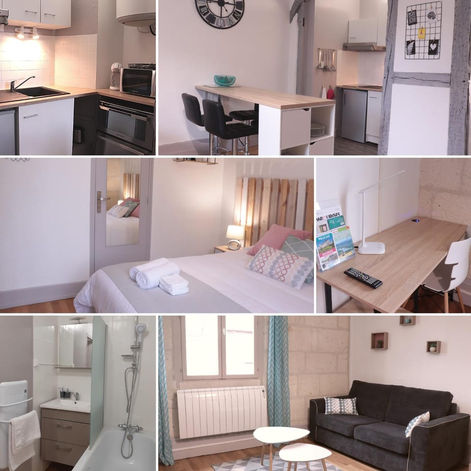 Le Vaillant, appartement T2, proche gare, hyper-centre et marais, 1 à 2 personnes, WIFI Apartment in Bourges
