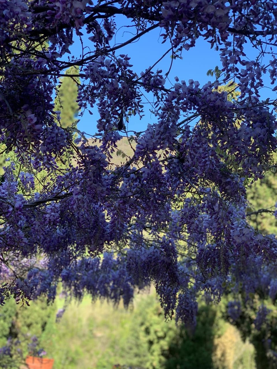 San Martino Vald'Afra Bed and Breakfast in Umbria