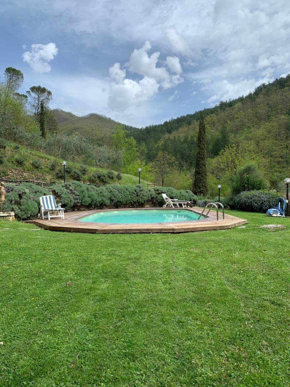Garden, Swimming pool, Swimming pool
