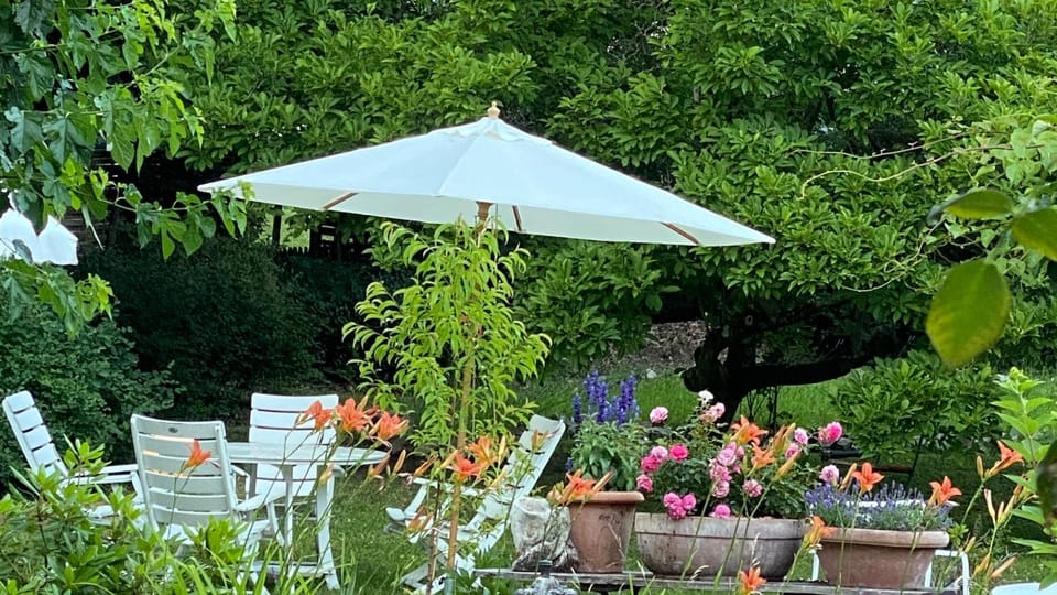 Garden, Garden view