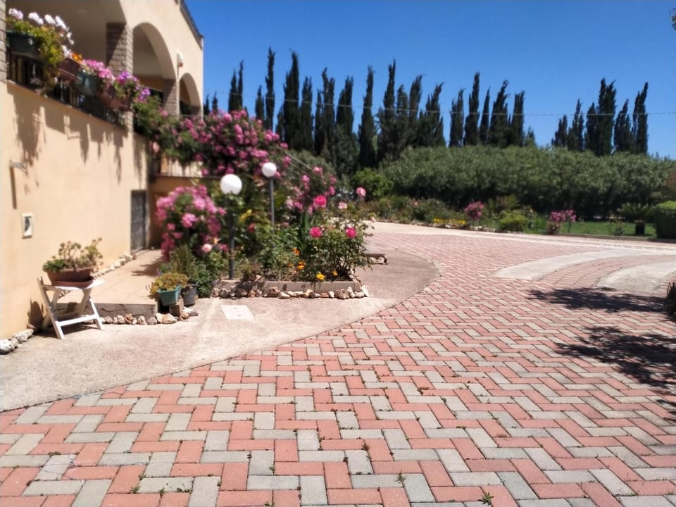 Day, Garden, Garden view