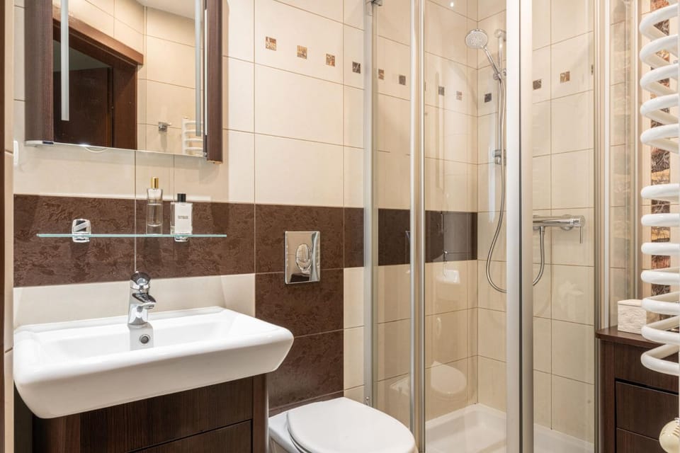 Shower, Toilet, Bathroom, towels