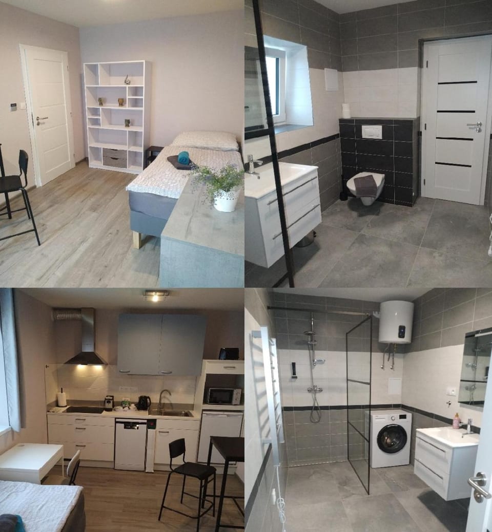 Toilet, Bed, Bathroom, Kitchen or kitchenette, Photo of the whole room, Bedroom, wardrobe, washing machine