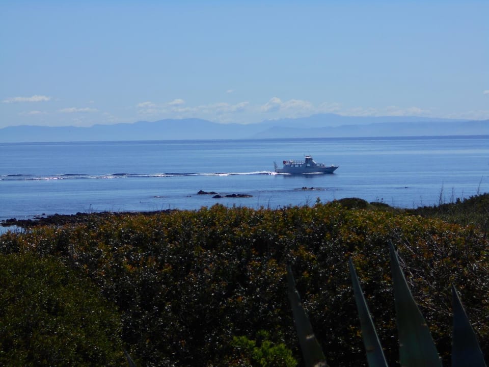 Sea view