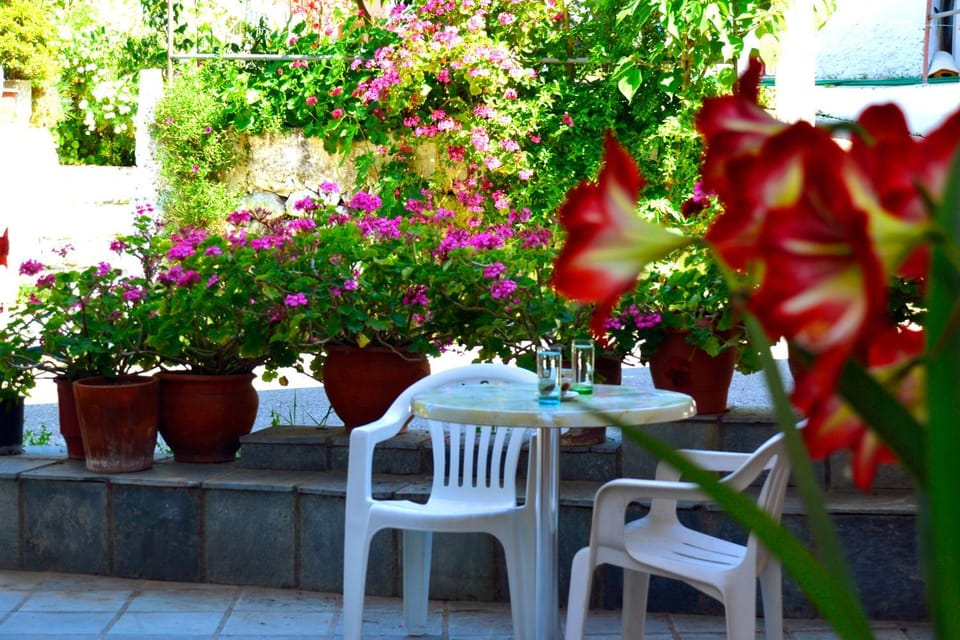 Patio, On site