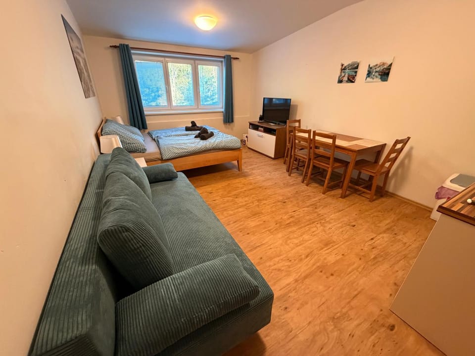 Lipno nad Vltavou - Apartman 23 - WiFi, Parking, Netflix Apartment in Lipno nad Vltavou