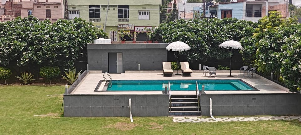 Day, Garden view, Pool view, Swimming pool