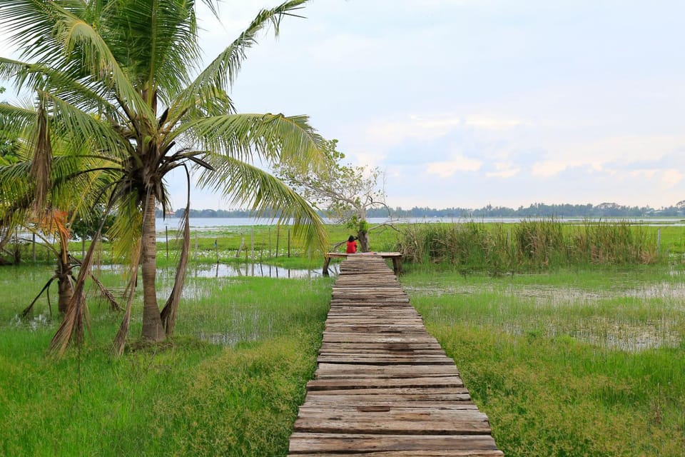 Natural landscape, Garden