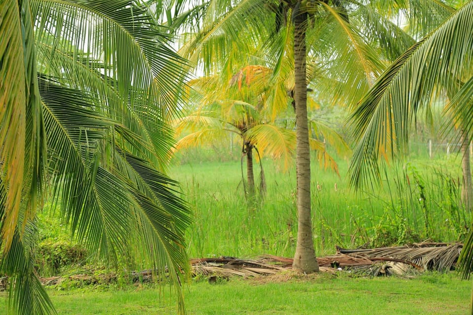 Natural landscape