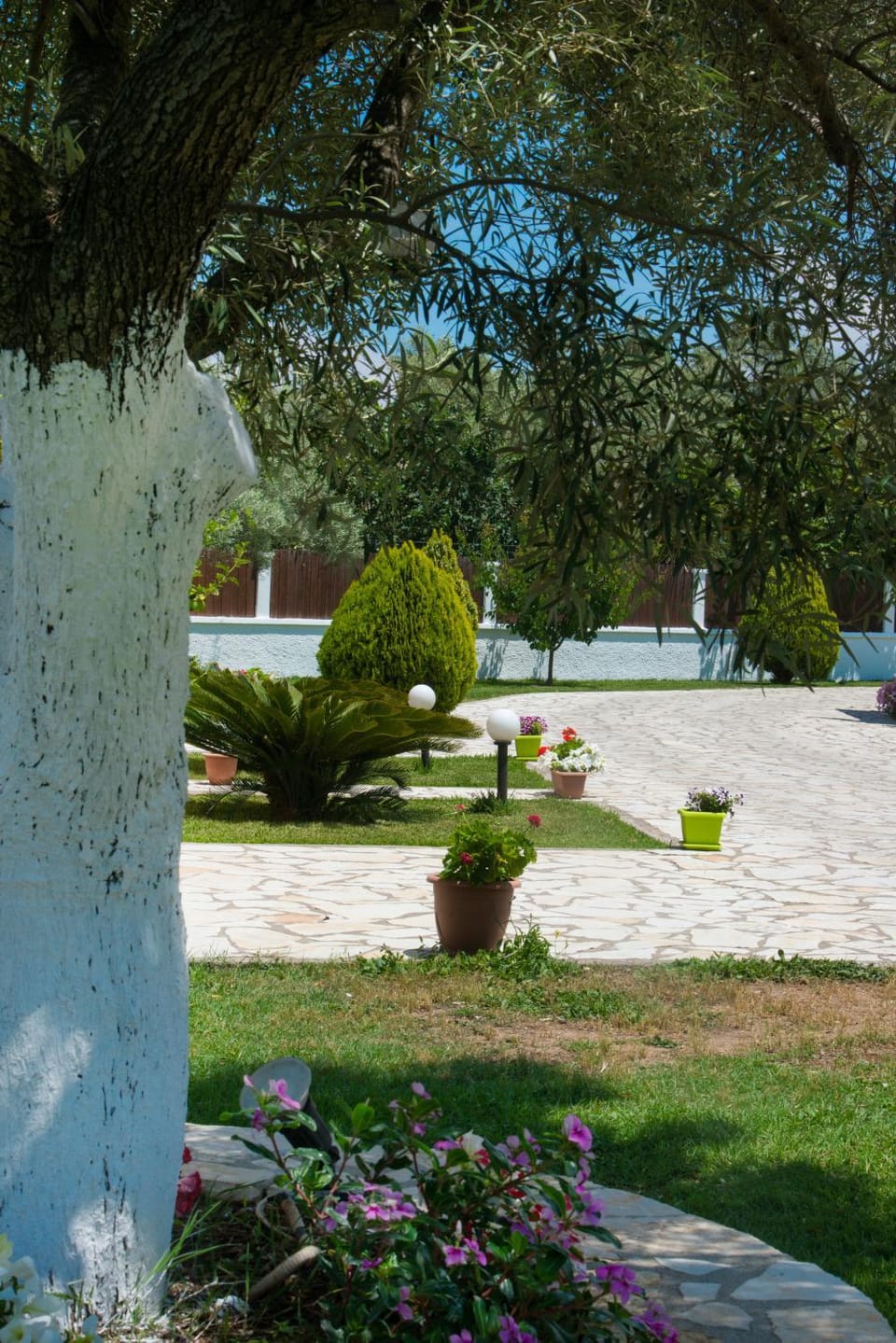 Eleana Studios Apartment in Lefkada, Lefkada Municipality, Greece