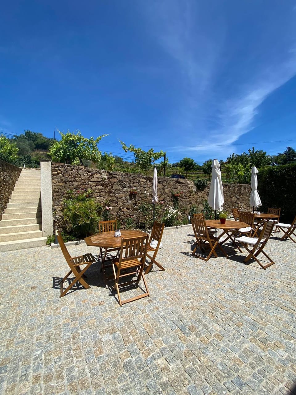 Casa de Carrapatelo Bed and Breakfast in Porto District