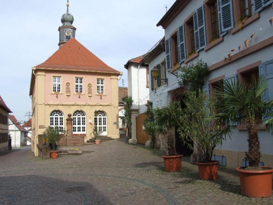 Haus Wasmuth - Ferienwohnung DORFPLATZ Apartment in Rhineland-Palatinate