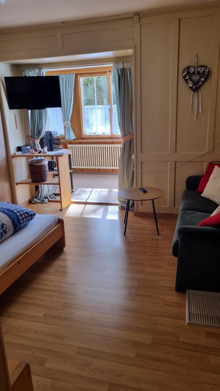 TV and multimedia, Living room, Photo of the whole room, Seating area, Bedroom, internet