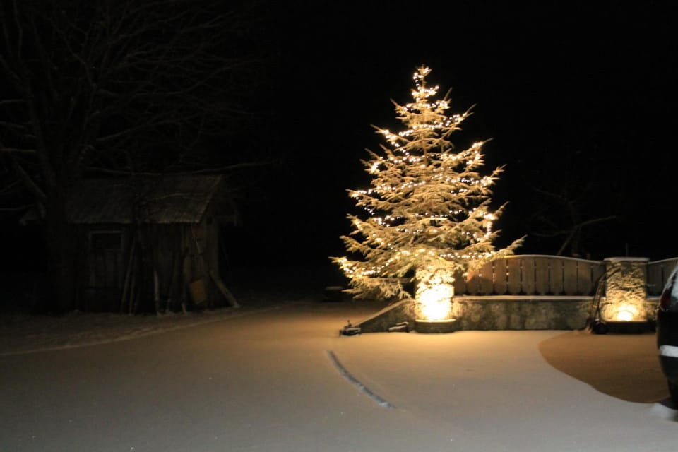 Property building, Winter