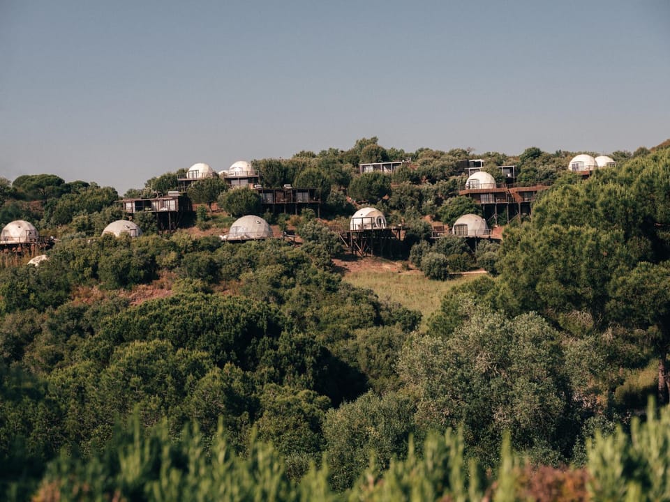 Natural landscape, View (from property/room)