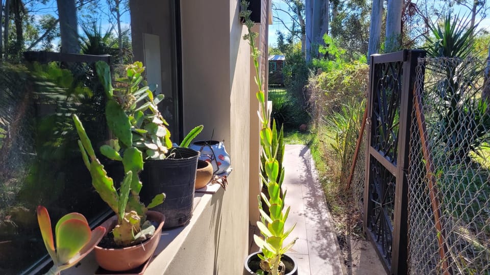 Garden, Garden view