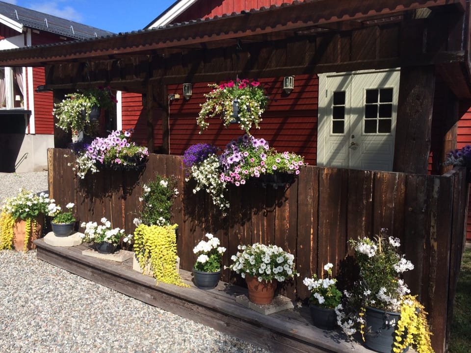 Property building, Facade/entrance, Day, Garden