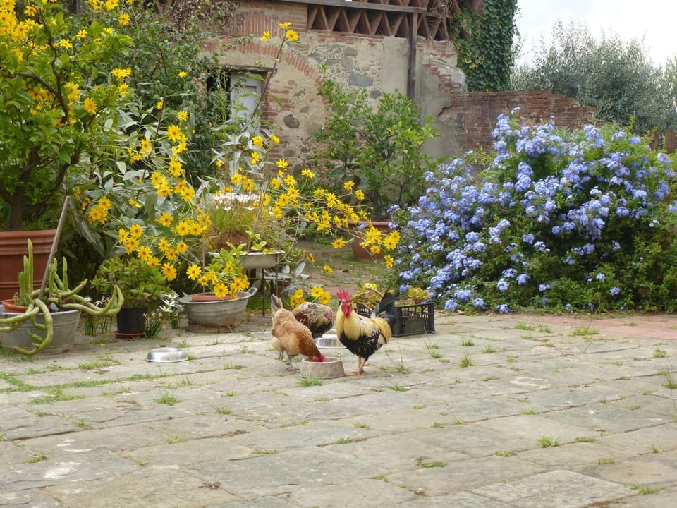 Inner courtyard view