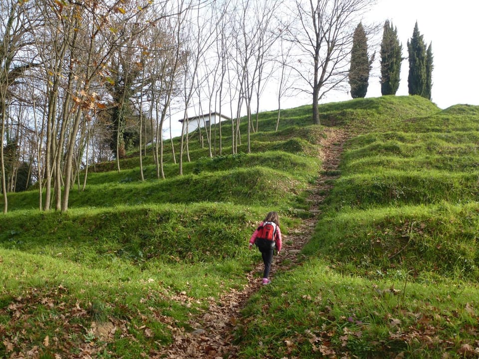 Natural landscape, View (from property/room), Hiking, children