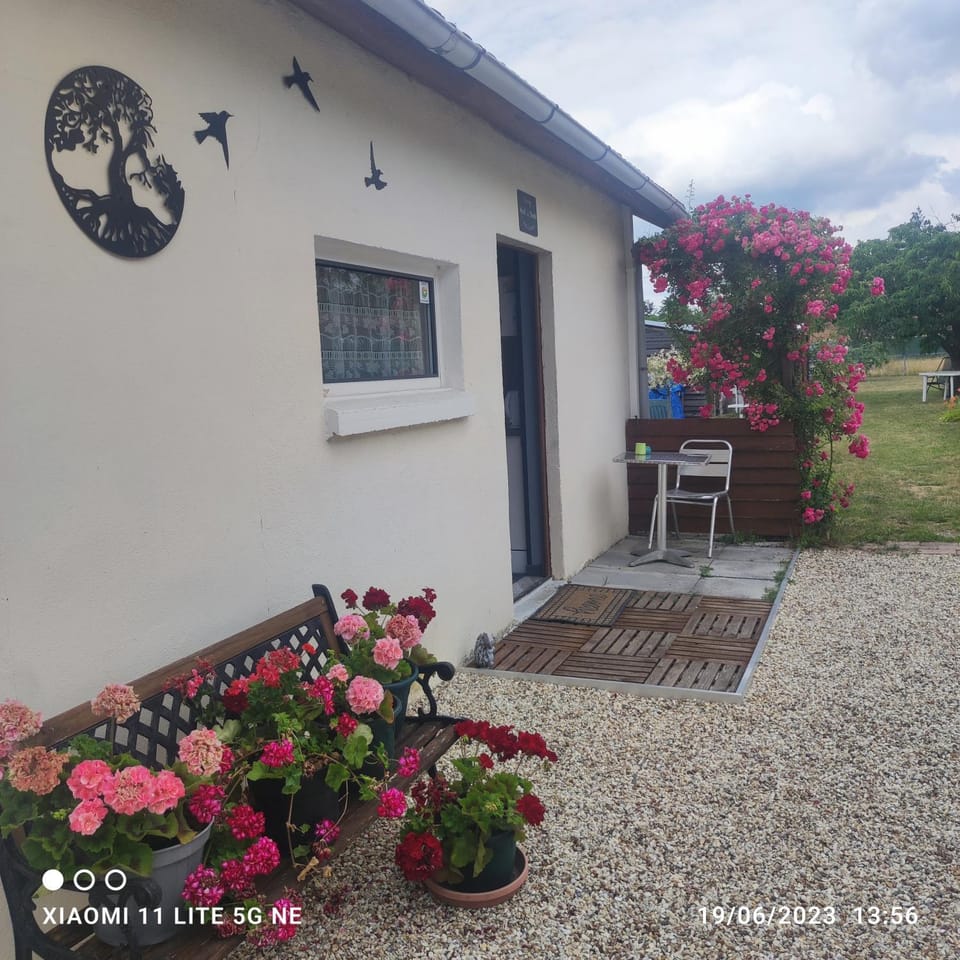 Property building, Patio, Garden view