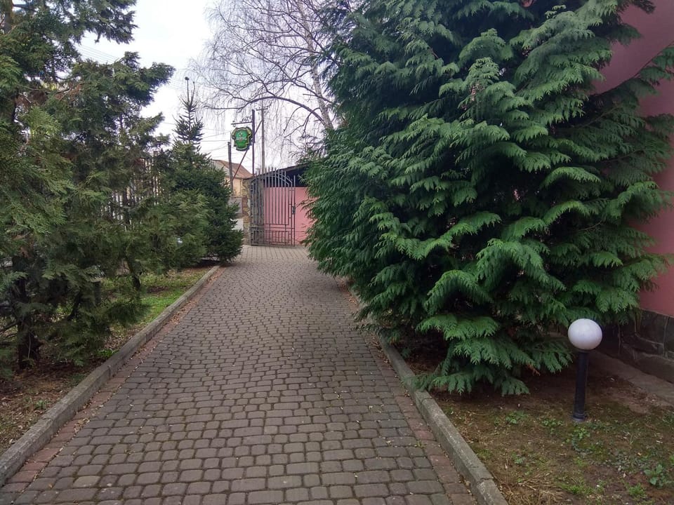 Natural landscape