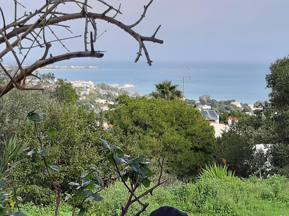 Natural landscape, Sea view, Location