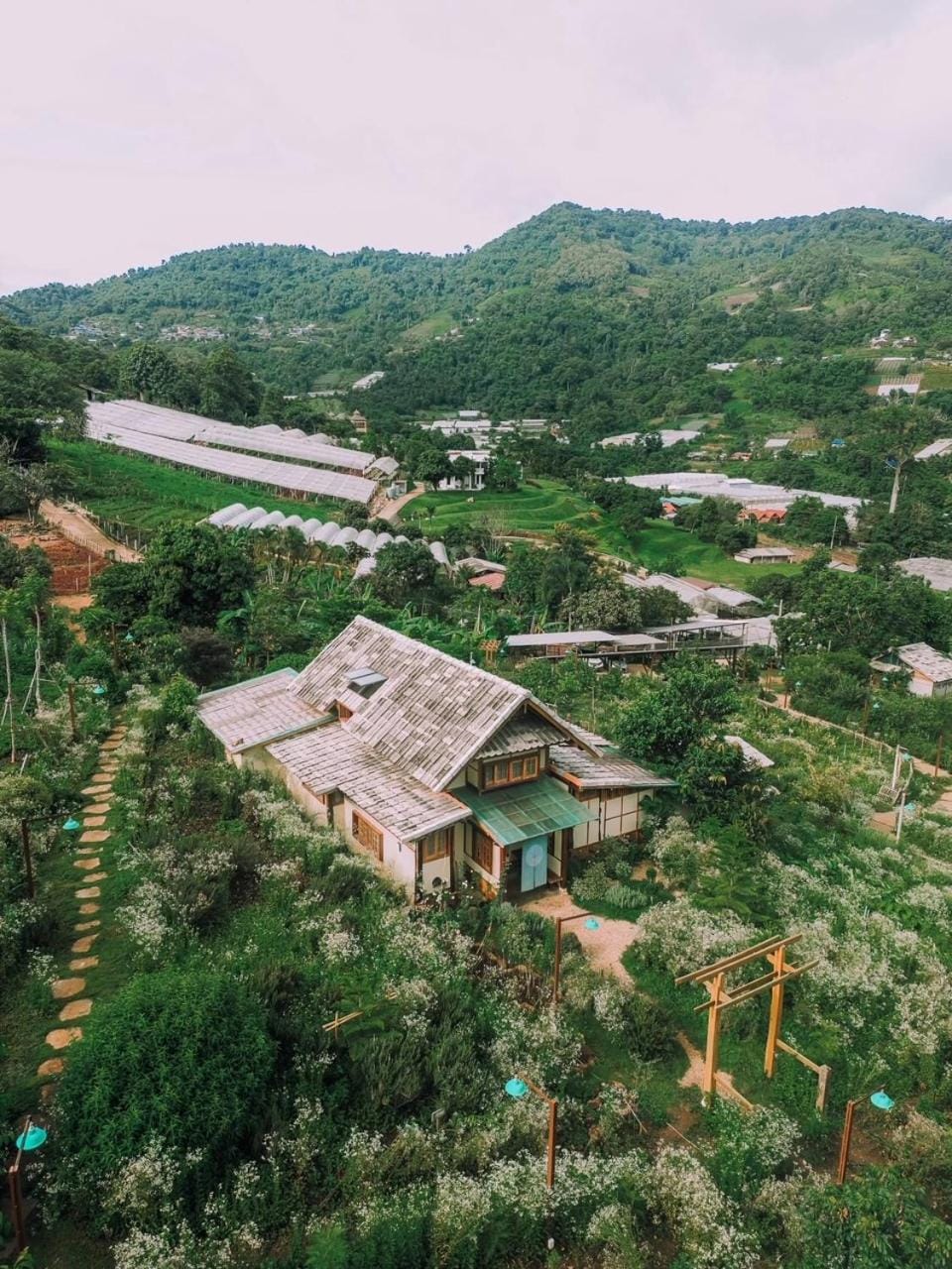 Mori Natural Farm Farm Stay in Thailand