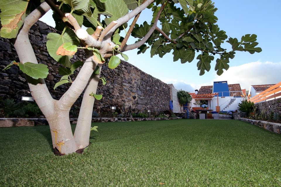 Patio, Garden
