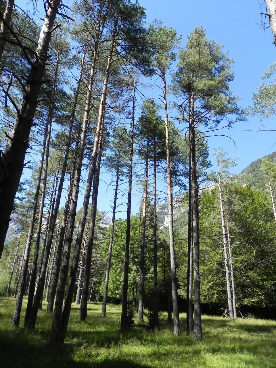 Spring, Off site, Natural landscape, Garden, Skiing, Hiking