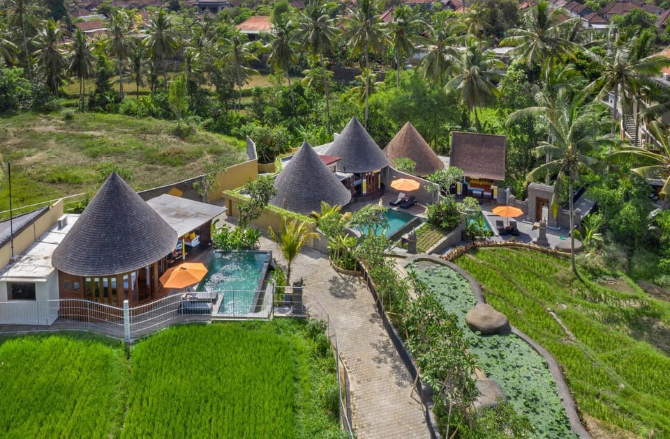 Garden, View (from property/room), Garden view