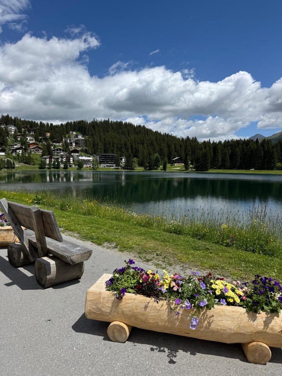 Rothornblick Apartment in Arosa