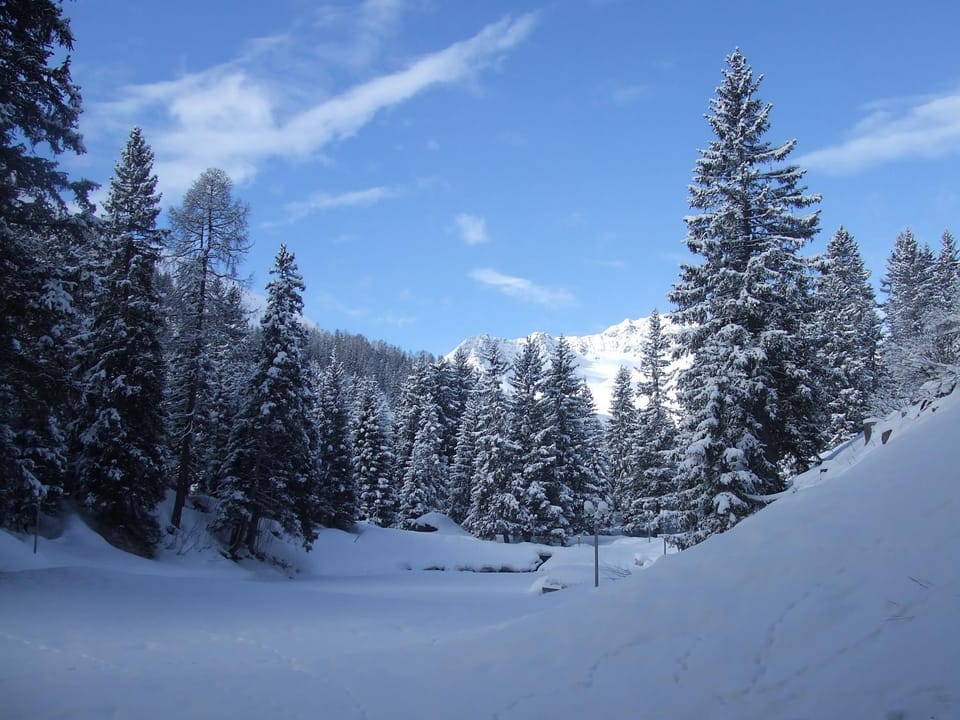 Natural landscape