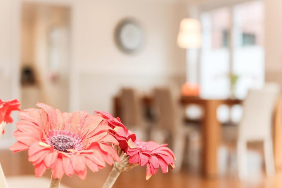 Restaurant/places to eat, Lounge or bar