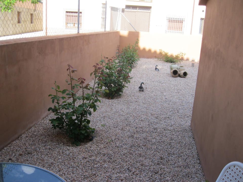 Patio, Garden