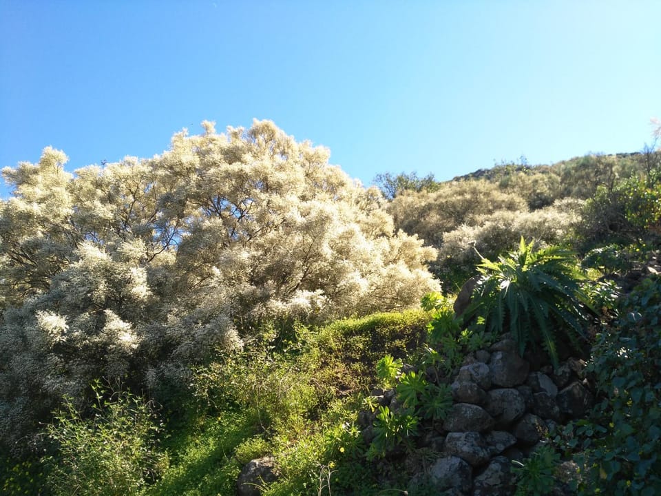 Natural landscape, Hiking