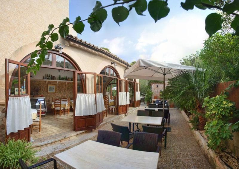 Patio, Garden, Garden view