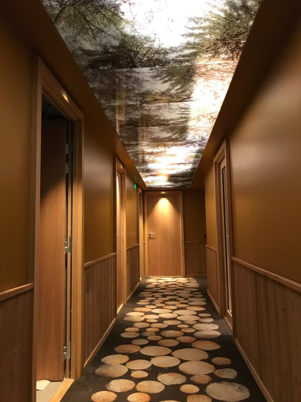 Hôtel LAPIAZ & Spa - FLAINE Hotel in Arâches-la-Frasse