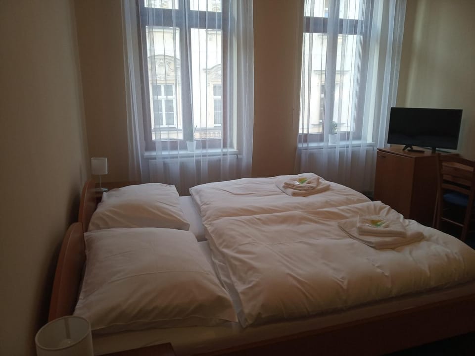 Lázeňský dům Florentini Bed and Breakfast in Saxony