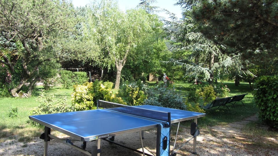 Garden, Table tennis, Table tennis