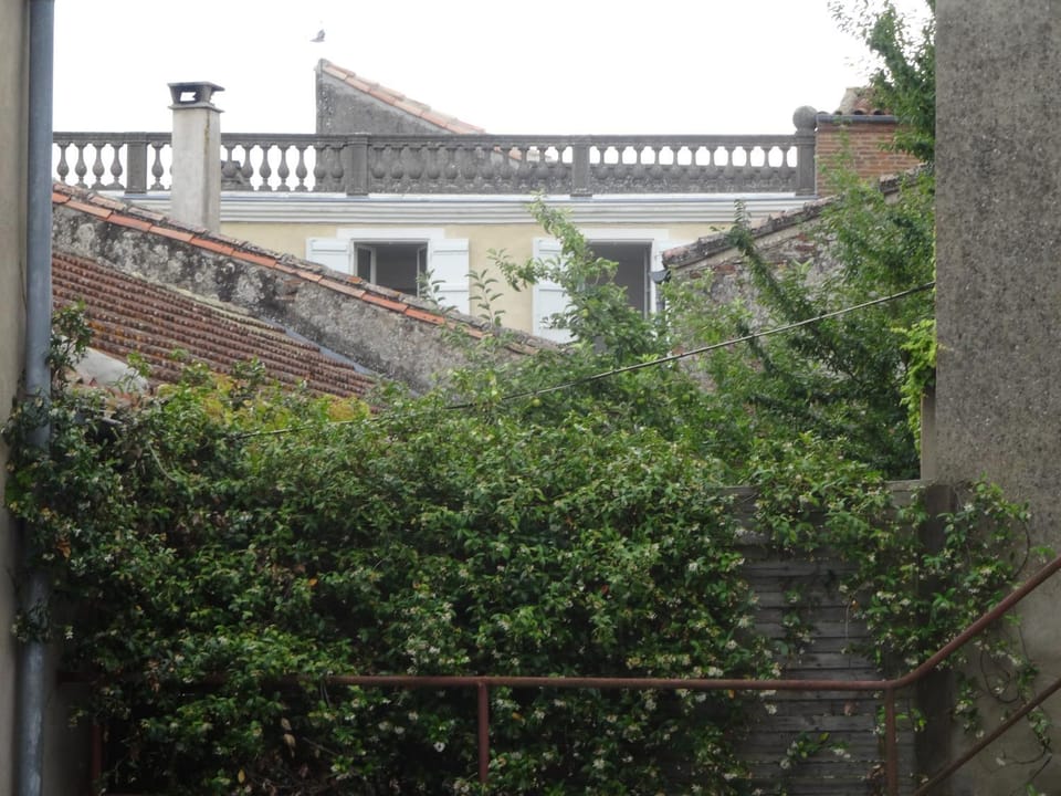 Neighbourhood