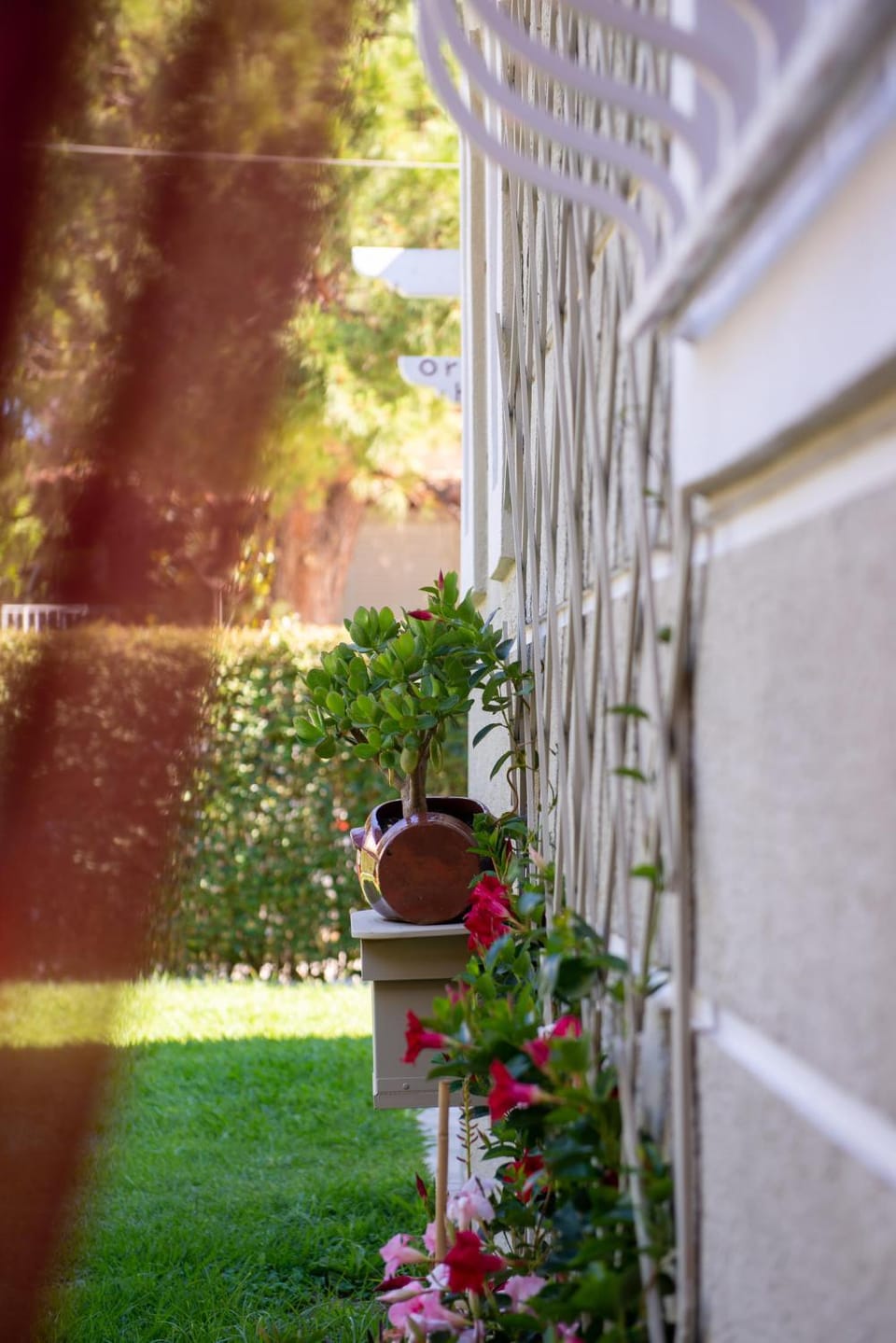 Spring, Garden view
