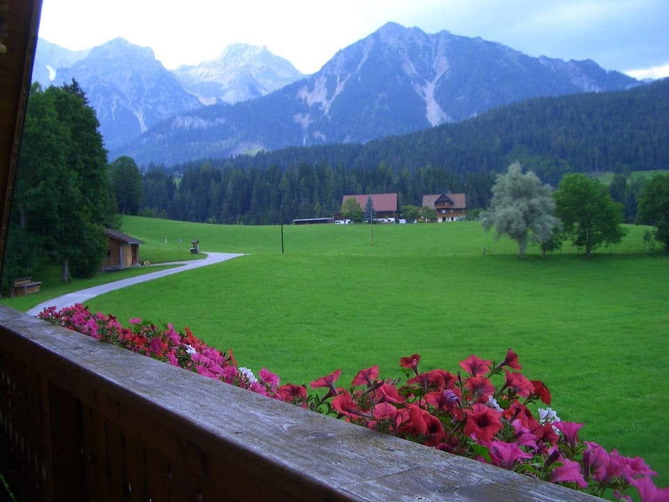 View (from property/room), Balcony/Terrace, Area and facilities