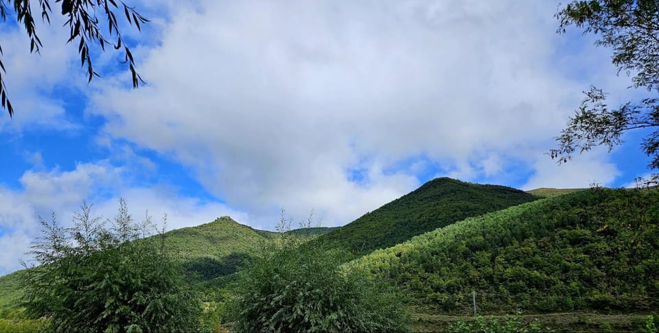 Mountain view