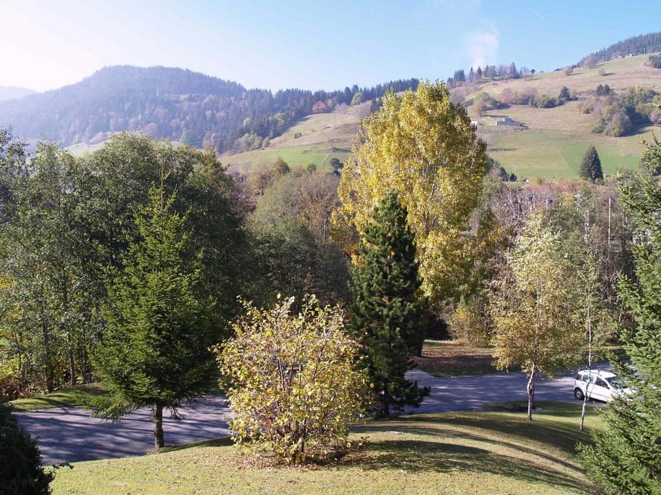 Studio à Megève - 3 personnes, Animaux admis - FR-1-453-116 Apartment in Megève