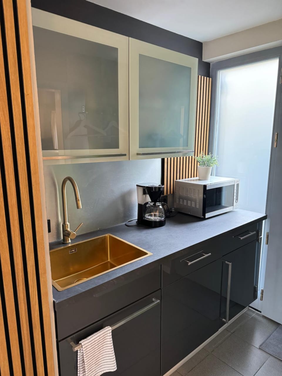 -Apartment am Luisenpark-perfekte Lage im Grünen für Ihren Aufenthalt Apartment in Erfurt