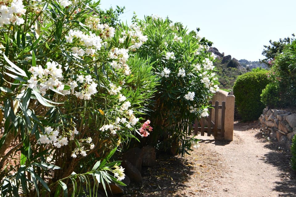 Spring, Day, Garden, Garden view