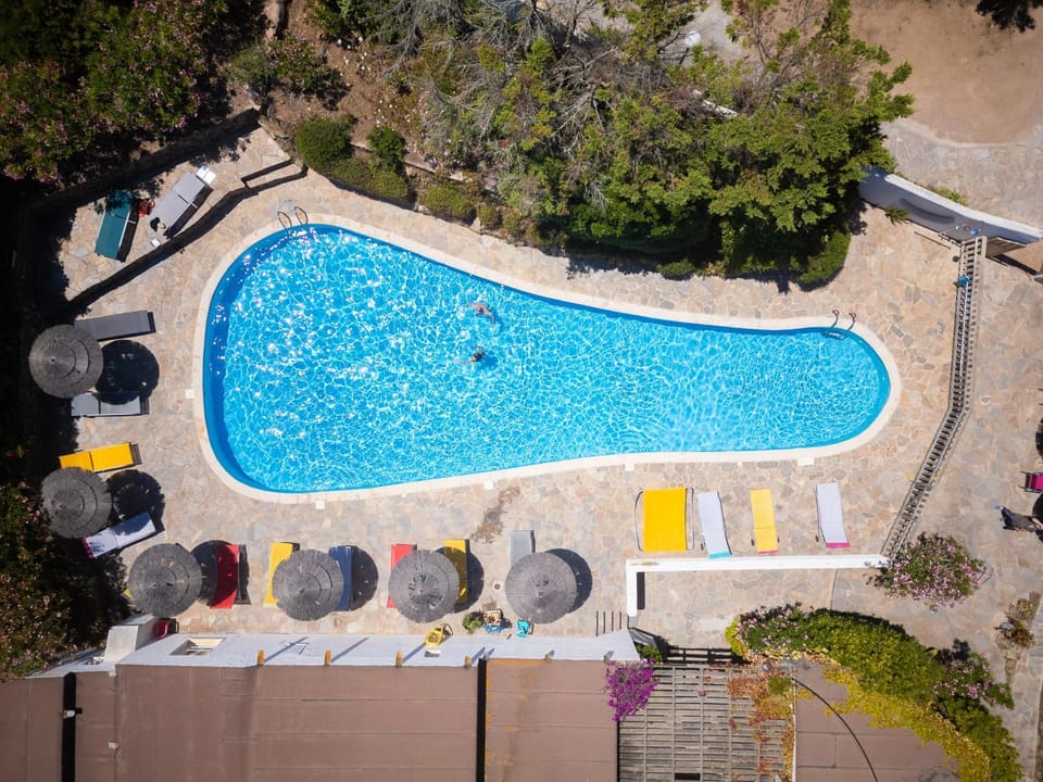 Day, Bird's eye view, Pool view, Swimming pool, sunbed
