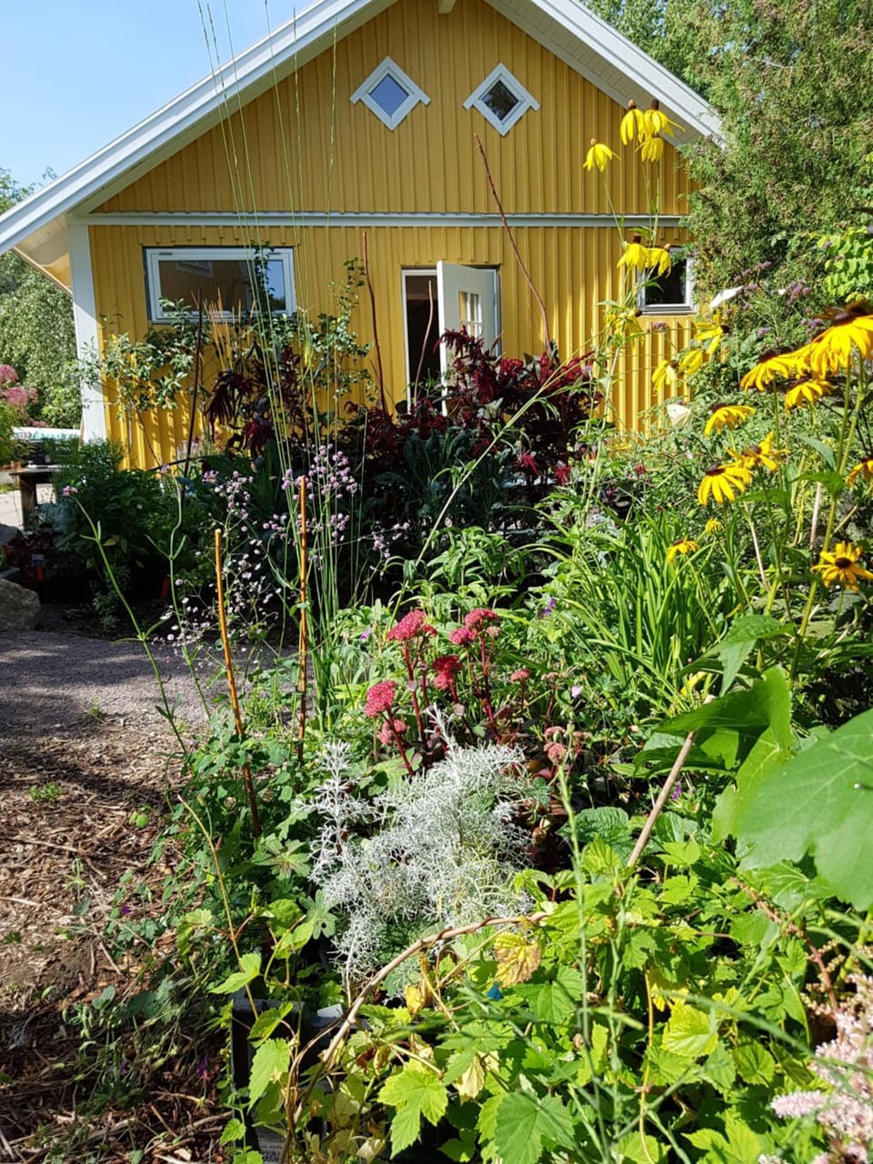 Garden, Inner courtyard view